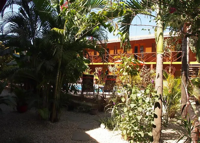 Samara Palm Lodge